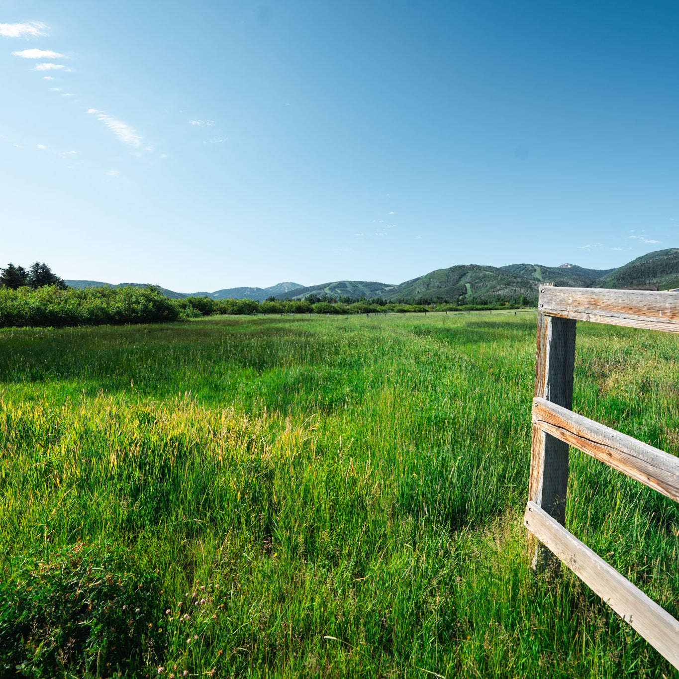 Mcleod Creek Trail Park City