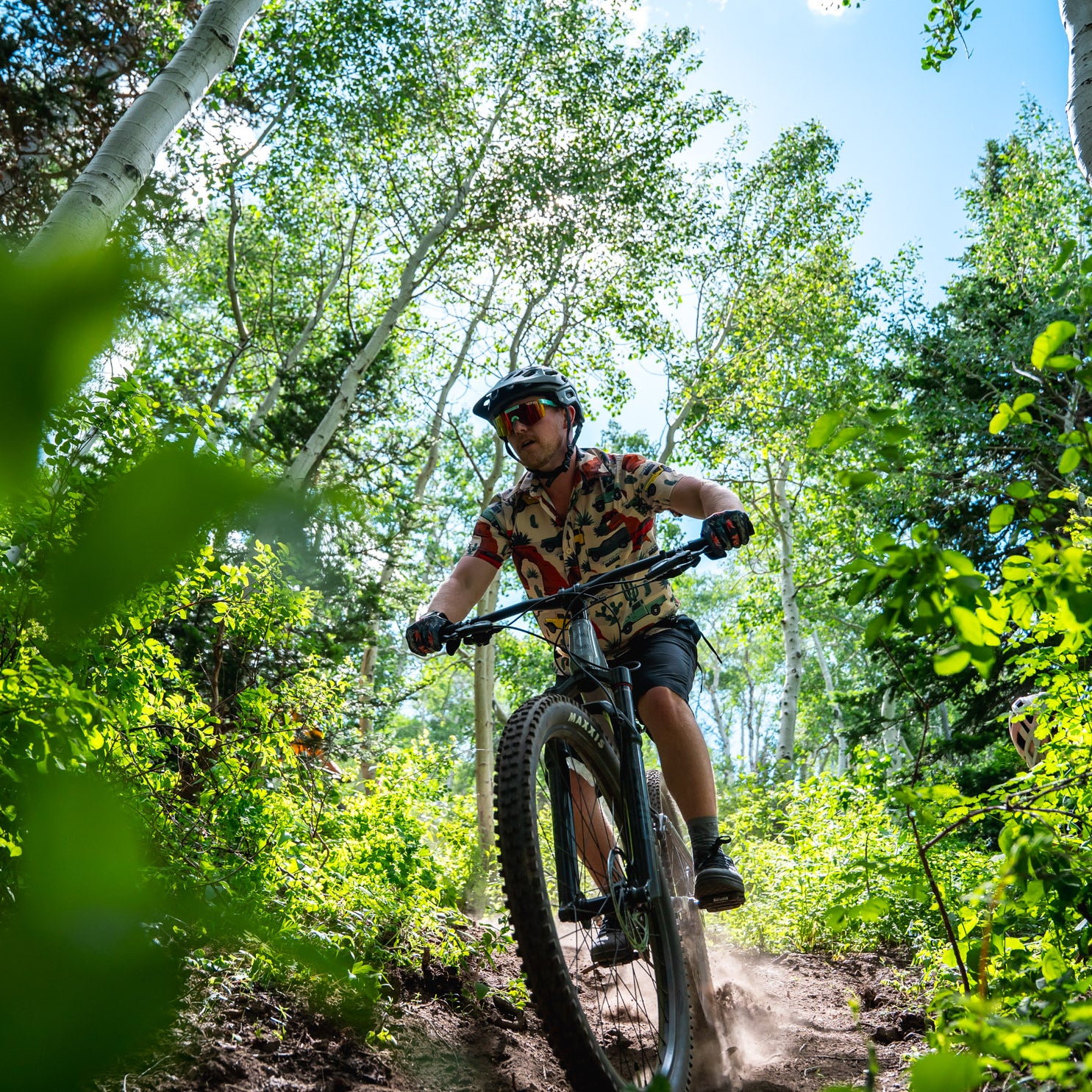 Skis on the Run offers shuttles to the Wasatch Crest Trail in Utah