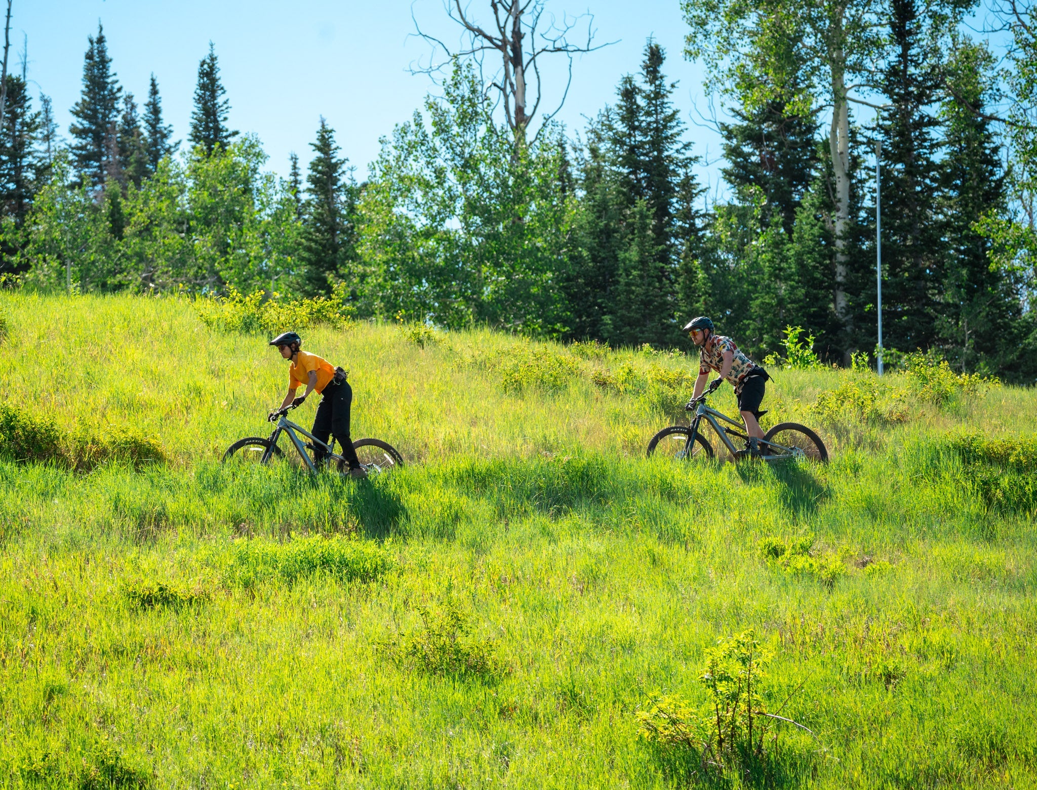 Park City's Best Pizza Places According to Locals
