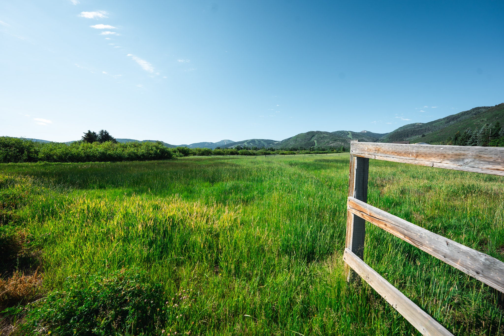 Mcleod Creek Trail in Park City in the Summer